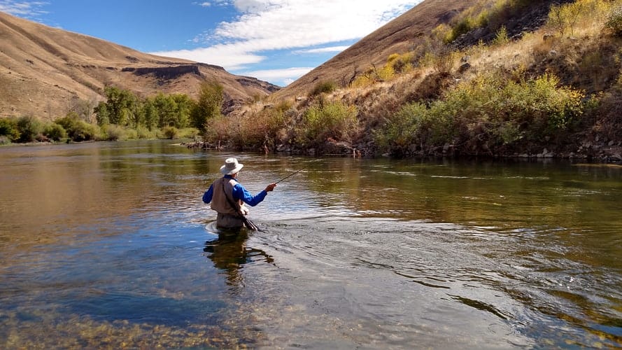 Fly Fishing in the Big Horns National Park near Sheridan Wyoming